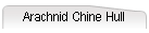 Arachnid Chine Hull