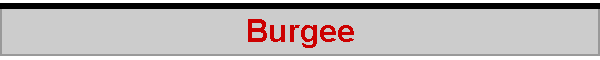 Burgee